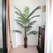 6ft Areca Palm Tree in Black Pot with 567 Realistic Leaves, Floral Home by Artificial Flowers